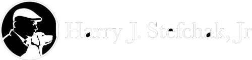 Harry Logo